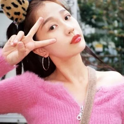 来自收容所的爱